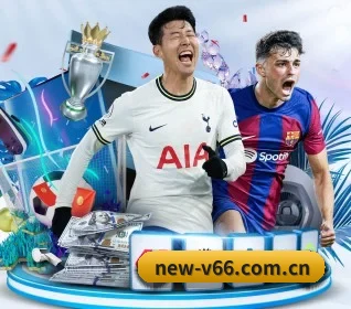 v66体育官网入口 APP