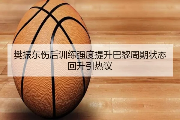 樊振东伤后训练强度提升巴黎周期状态回升引热议